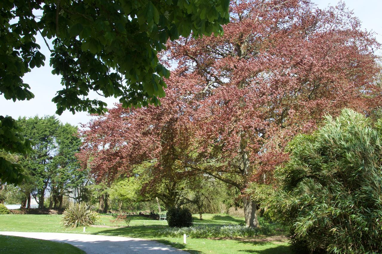 Trewornan Manor Bed and Breakfast Wadebridge Buitenkant foto